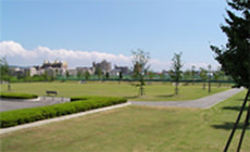 リバーサイドパーク