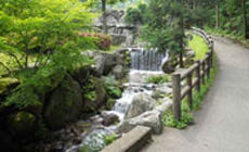 一本松公園（昭和の森）