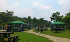 古賀グリーンパーク