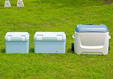 クーラーボックス（氷なし）