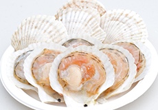 北海道産殻付きホタテ(醤油・バター付)